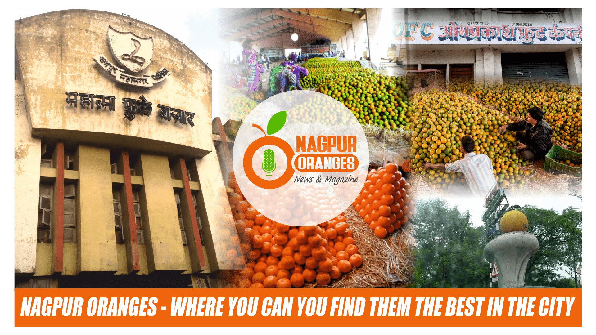 Nagpur Oranges - Where You Can You Find them the Best in the City